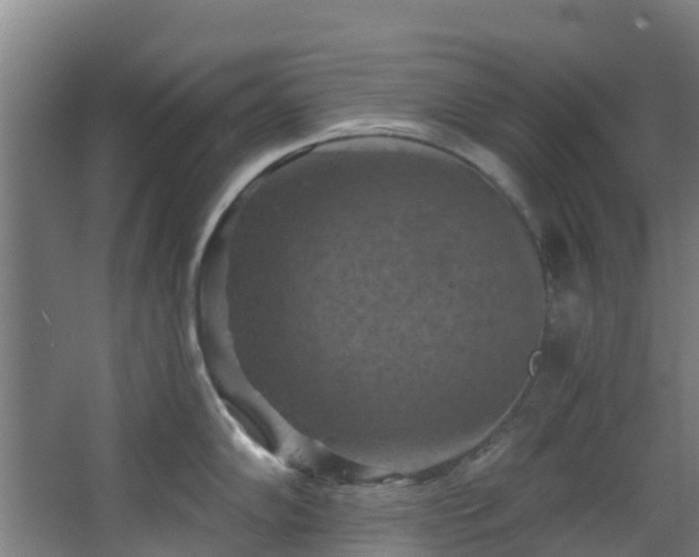 X0000068741102200605011019