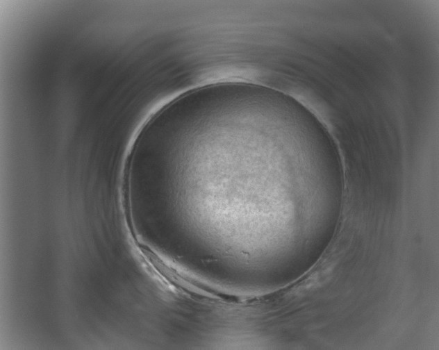 X0000068741104200605011019