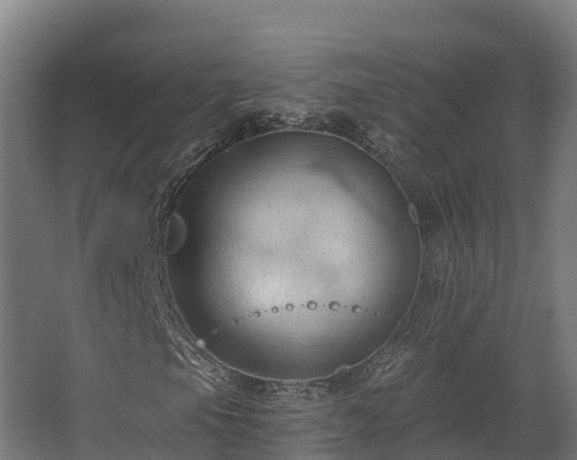 X0000068741105200605011018