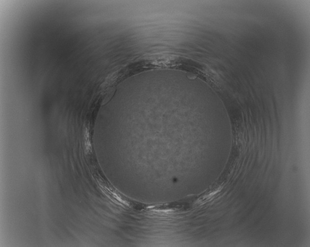 X0000068741106200605011018