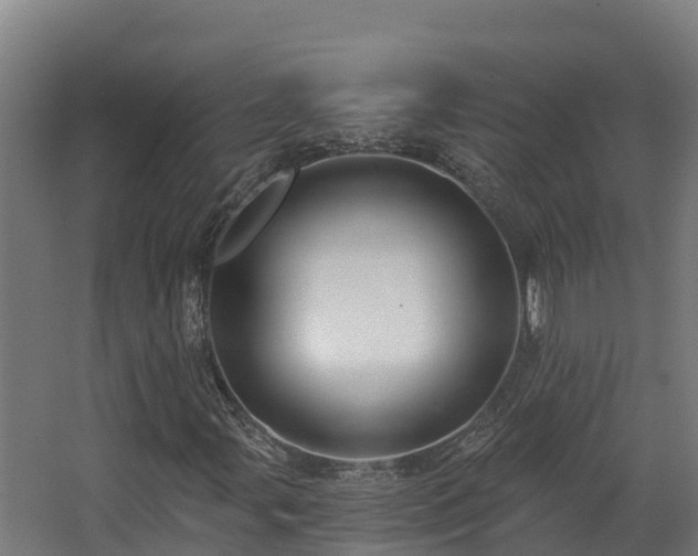 X0000068741107200605011018