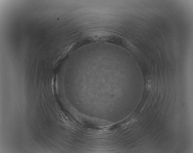 X0000068741108200605011018