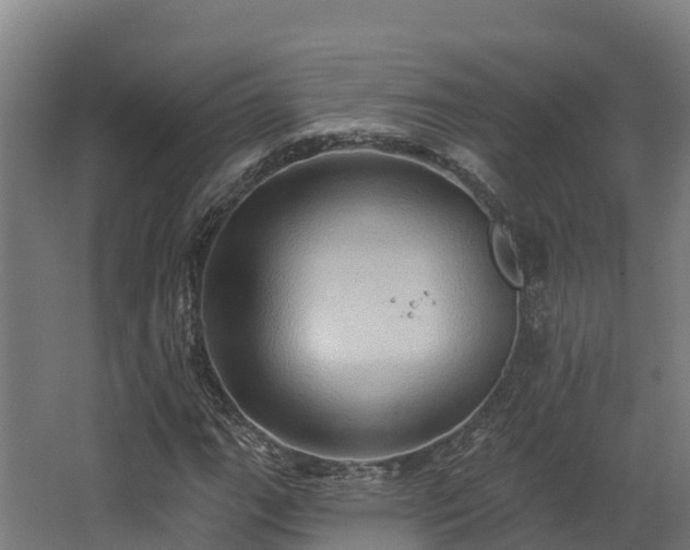 X0000068741111200605011018