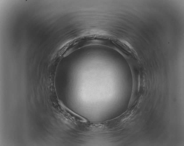 X0000068741112200605011018