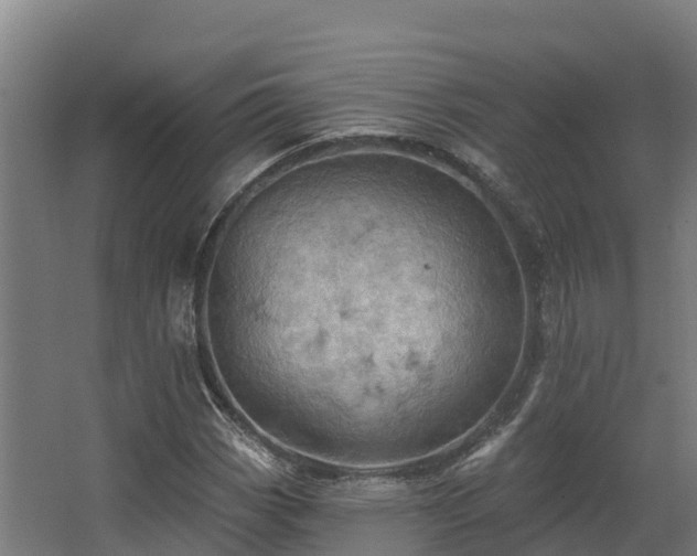 X0000068741113200605011018