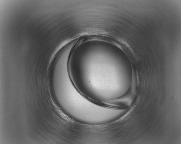 X0000068741114200605011018