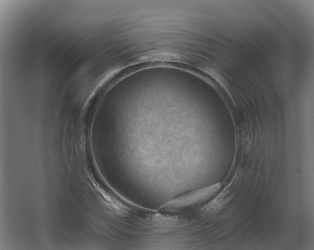 X0000068741115200605011018