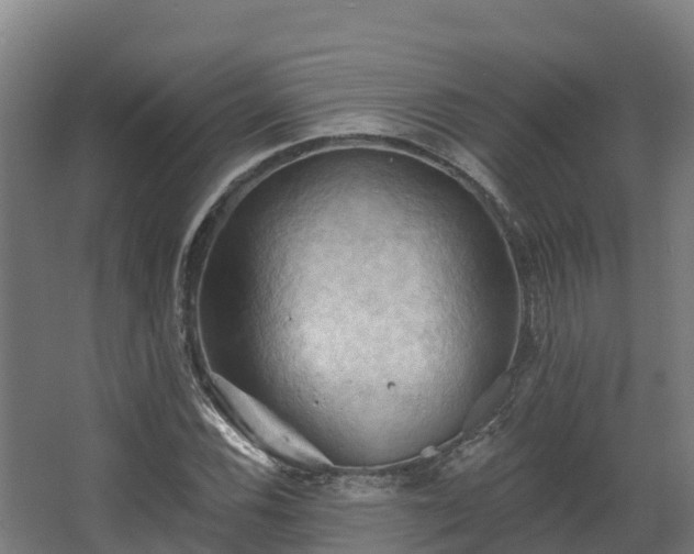 X0000068741116200605011018