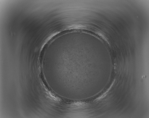 X0000068741117200605011018