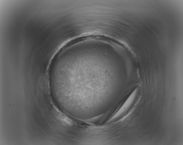 X0000068741118200605011018