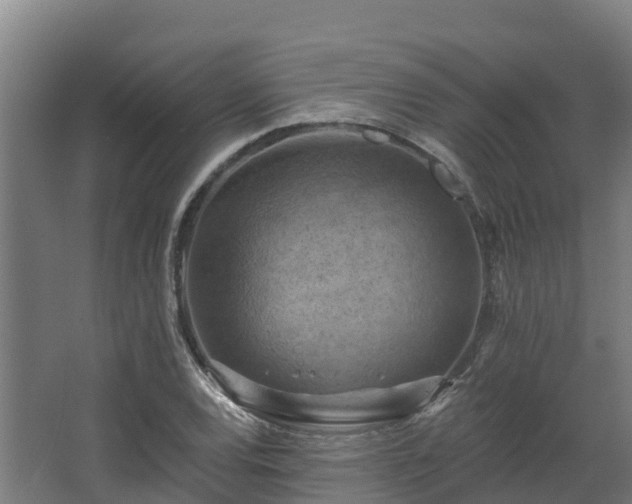 X0000068741120200605011018