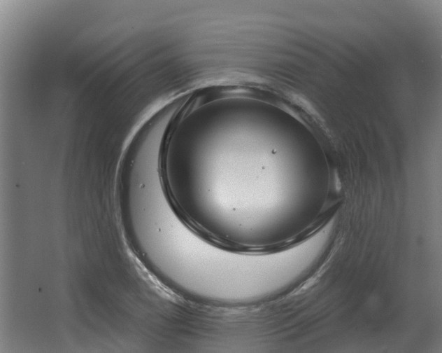 X0000068741122200605011018