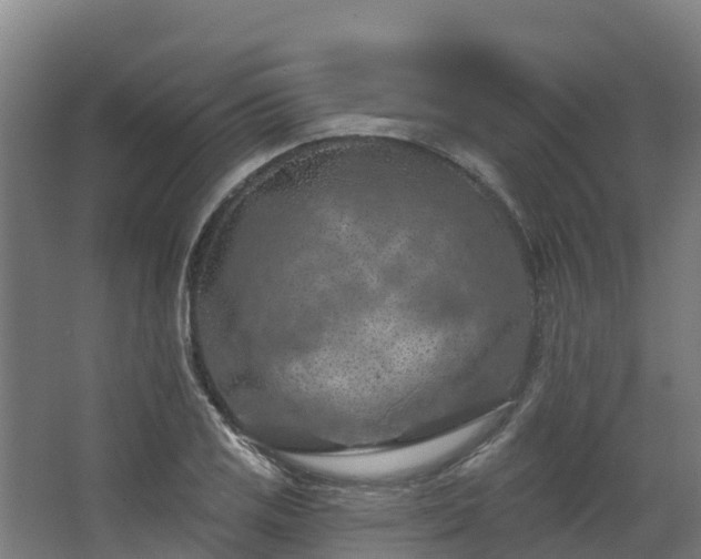 X0000068741125200605011018