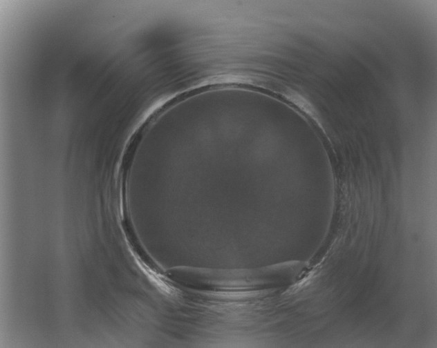 X0000068741127200605011018