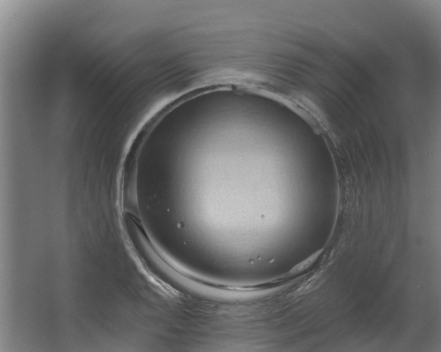 X0000068741128200605011018