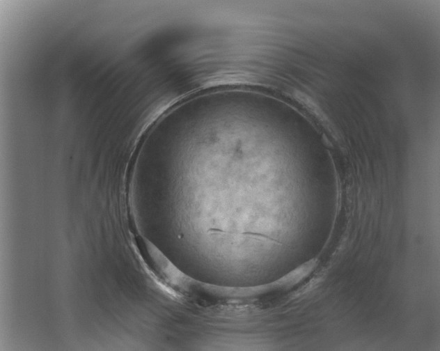 X0000068741129200605011018