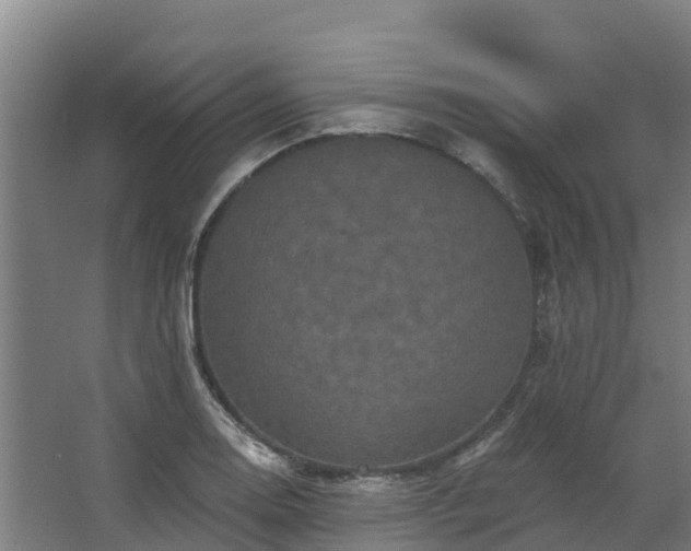 X0000068741130200605011018