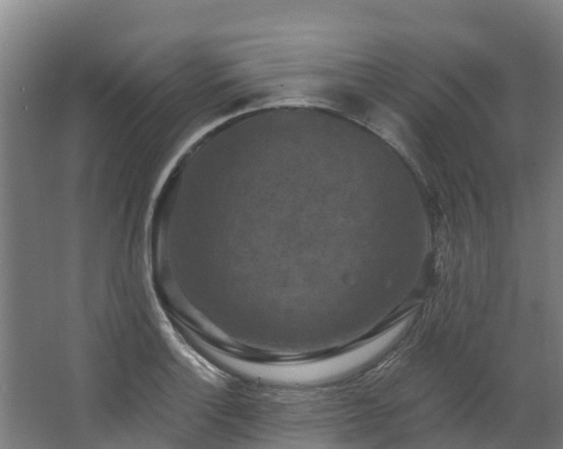 X0000068741132200605011018