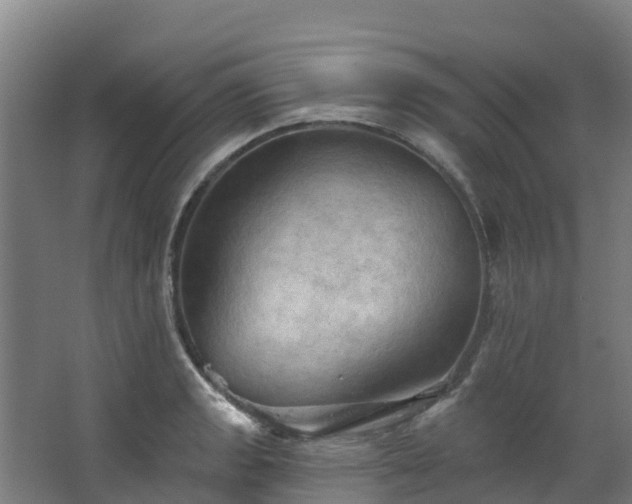 X0000068741133200605011018