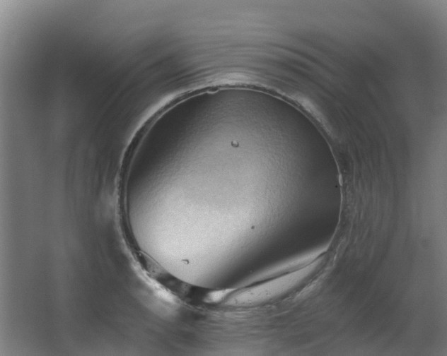 X0000068741134200605011018