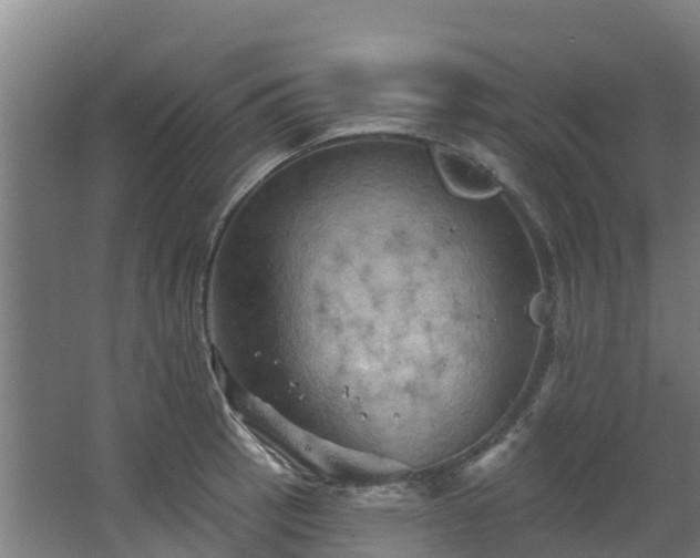 X0000068741137200605011018