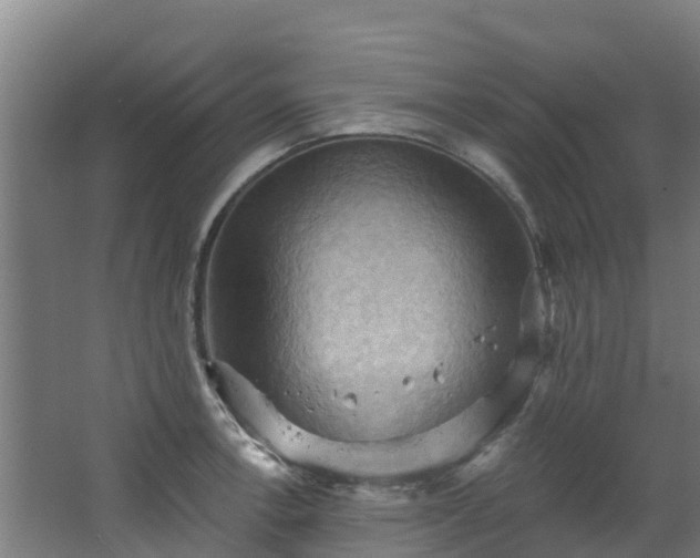 X0000068741138200605011018