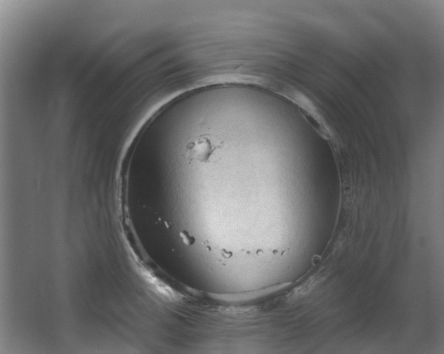 X0000068741140200605011018