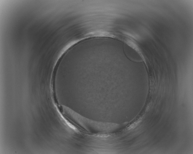 X0000068741141200605011018