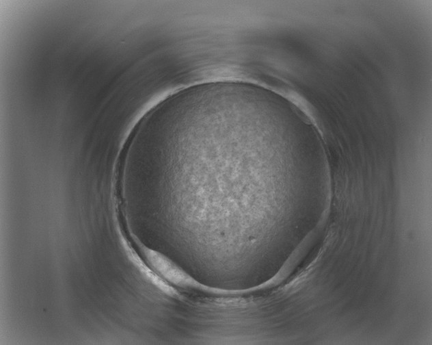 X0000068741142200605011018