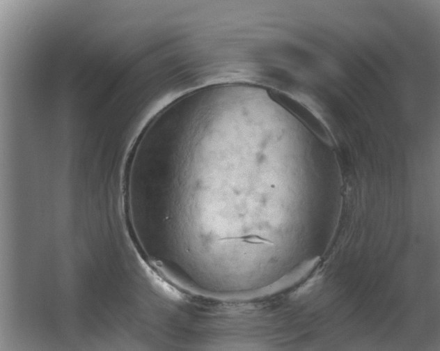 X0000068741143200605011018