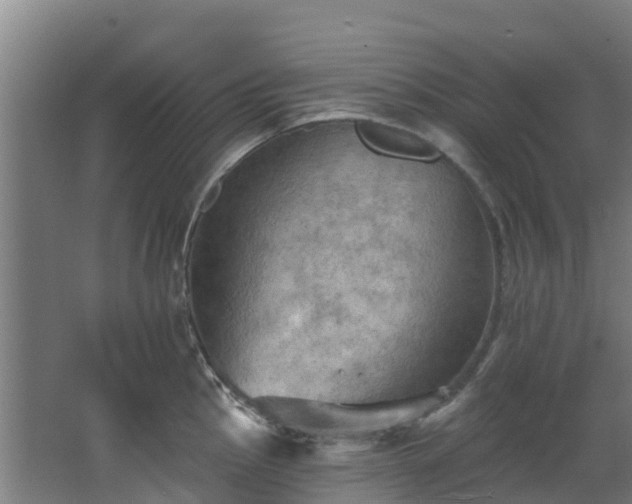 X0000068741145200605011018