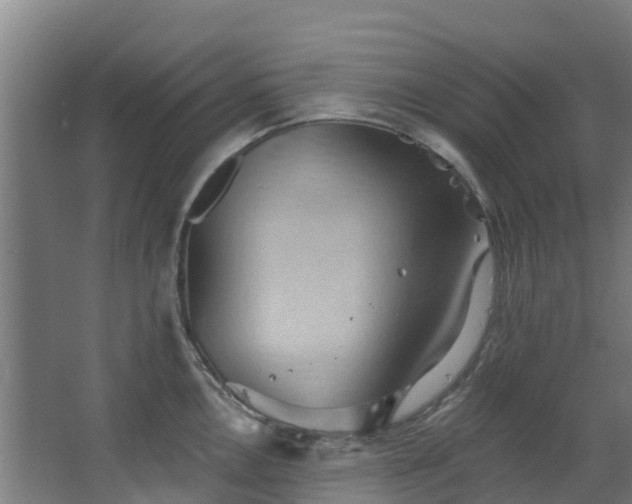 X0000068741146200605011018