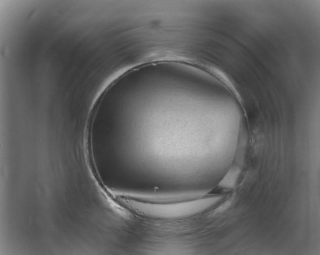 X0000068741149200605011018