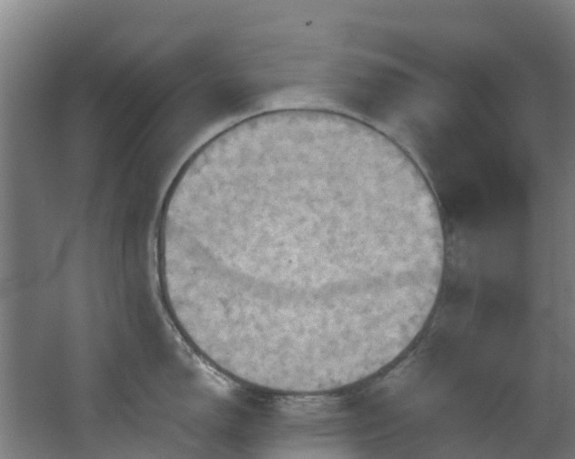 X0000068741150200605011019