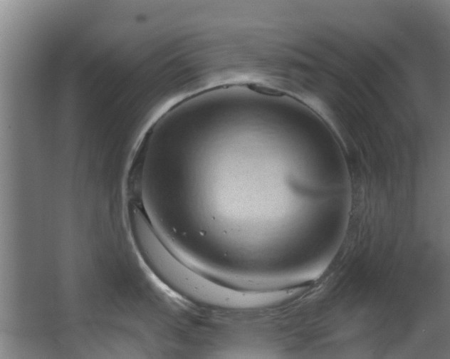 X0000068741151200605011019