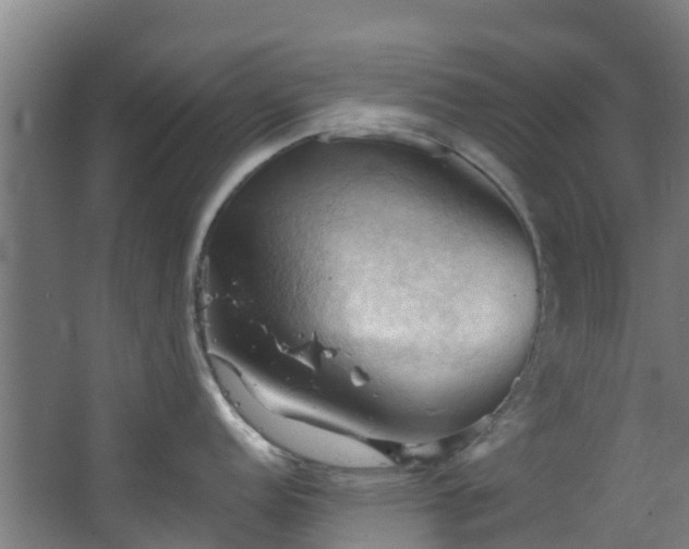 X0000068741152200605011019