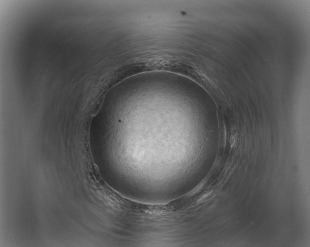 X0000068741153200605011018