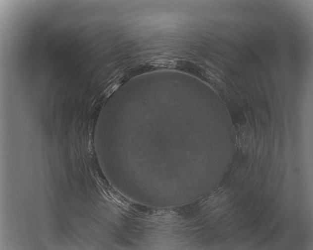 X0000068741154200605011018