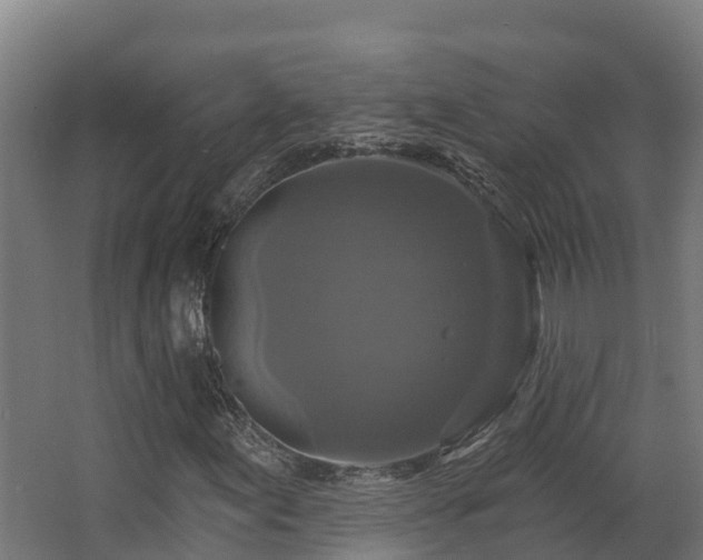 X0000068741155200605011018