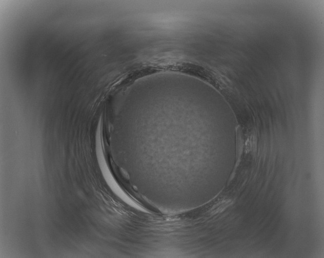 X0000068741156200605011018