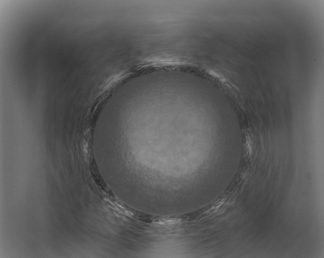 X0000068741157200605011018