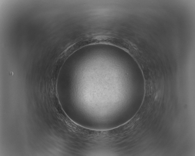 X0000068741158200605011018