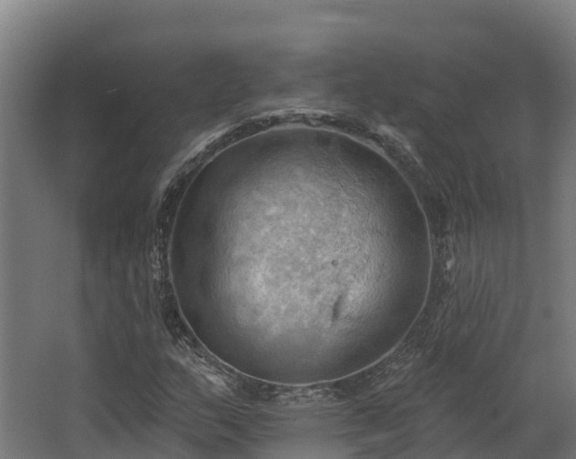 X0000068741159200605011018