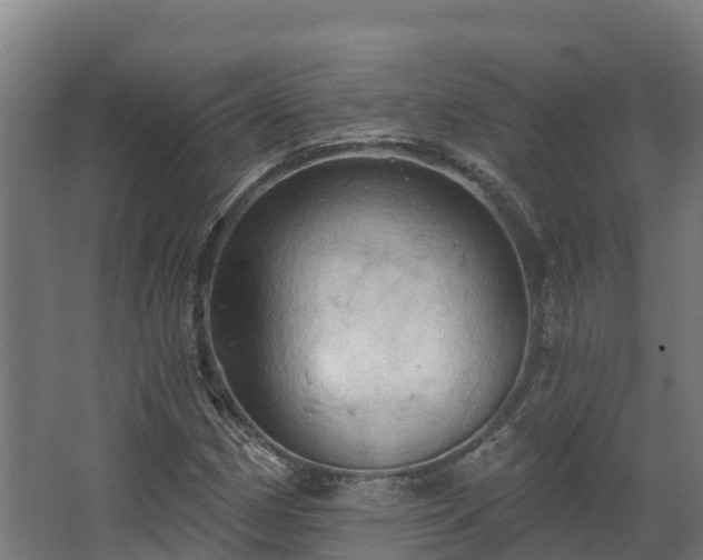 X0000068741162200605011018