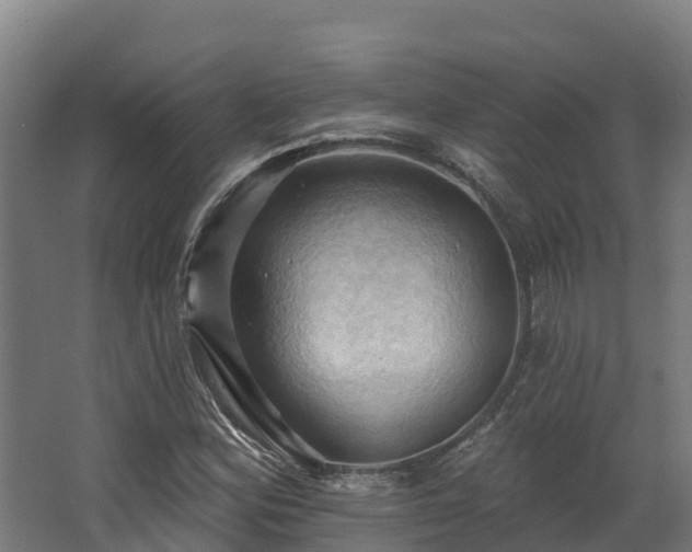 X0000068741164200605011018