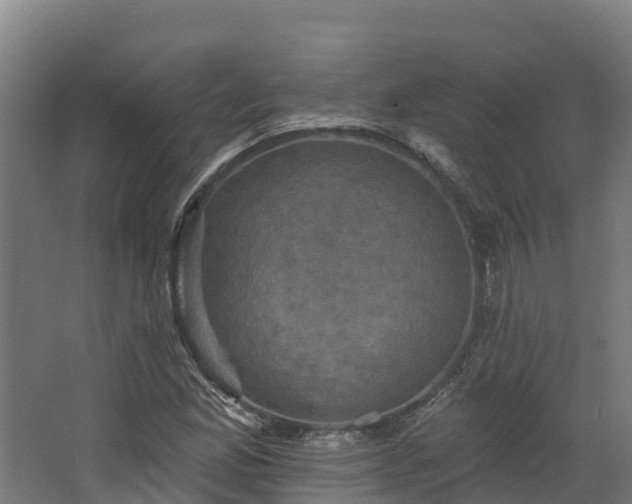 X0000068741165200605011018