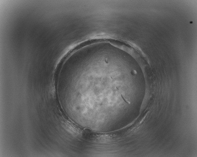 X0000068741167200605011017