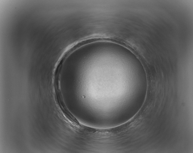 X0000068741168200605011017