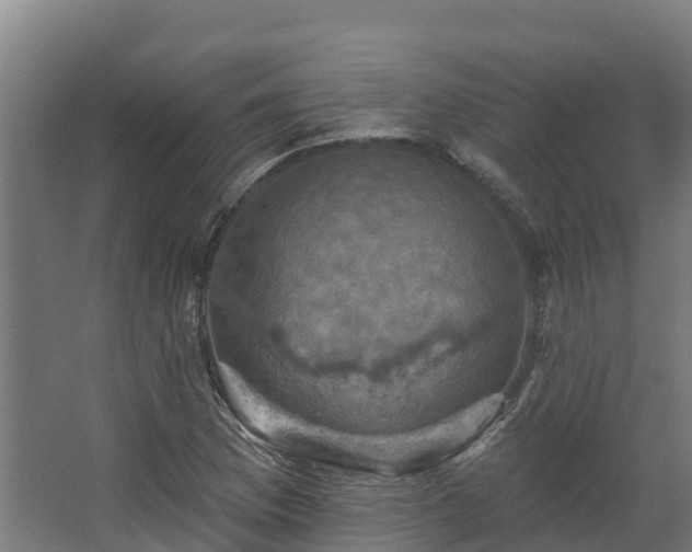 X0000068741169200605011017