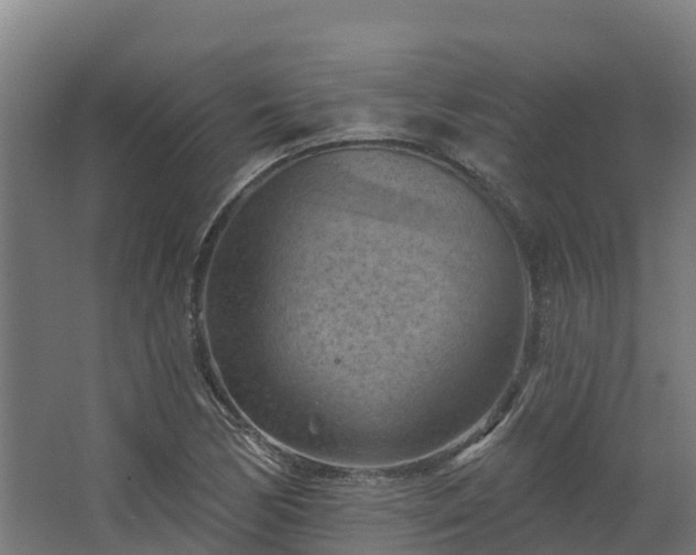 X0000068741170200605011017